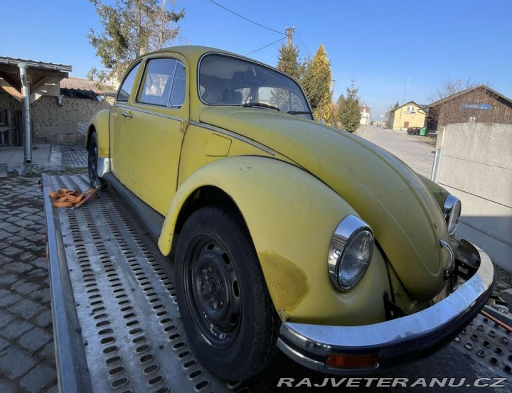 Volkswagen Brouk 11 1979