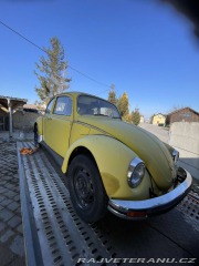 Volkswagen Brouk 11 1979