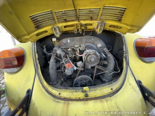 Volkswagen Brouk 11 1979