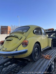 Volkswagen Brouk 11 1979