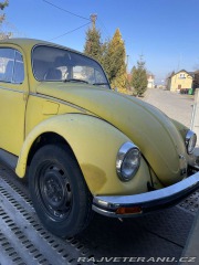 Volkswagen Brouk 11 1979
