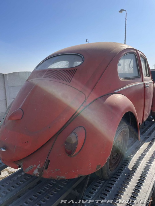 Volkswagen Brouk 11 Ovál 1958