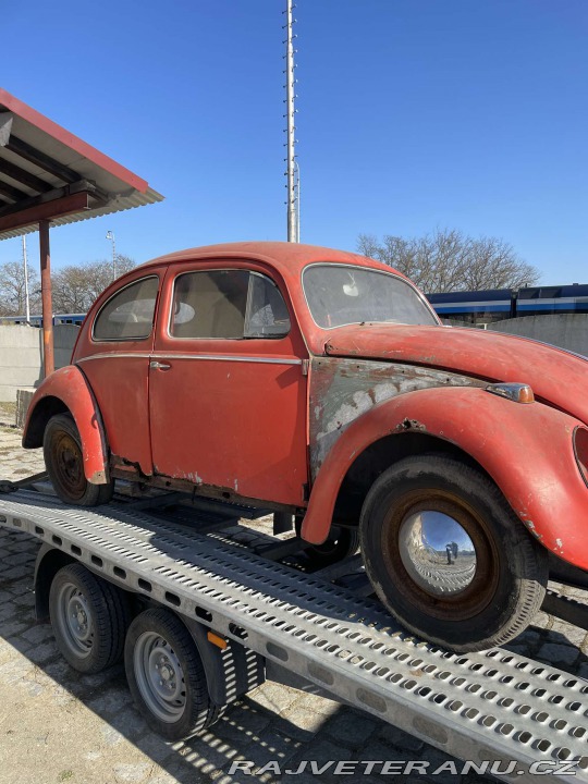 Volkswagen Brouk 11 Ovál 1958