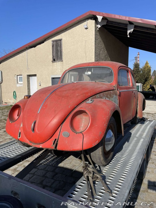 Volkswagen Brouk 11 Ovál 1958