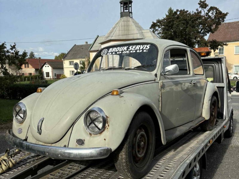 Volkswagen Brouk 