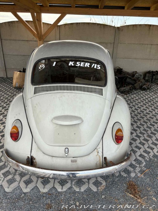 Volkswagen Brouk 1969