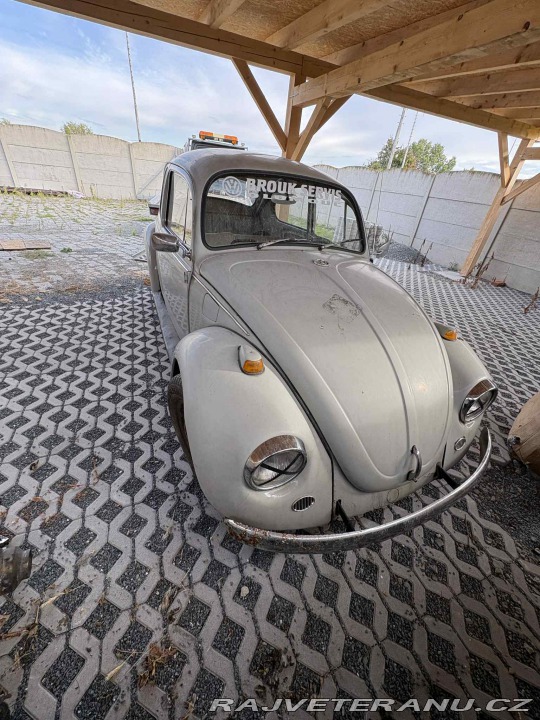 Volkswagen Brouk 1969