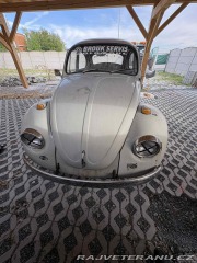 Volkswagen Brouk 1969