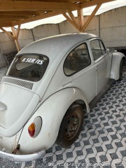 Volkswagen Brouk 1969