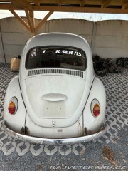 Volkswagen Brouk 1969