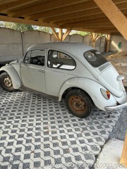 Volkswagen Brouk 1969