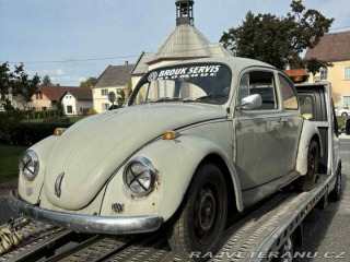 Volkswagen Brouk 1969