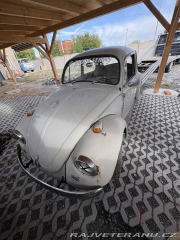 Volkswagen Brouk 1969