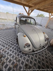 Volkswagen Brouk 1969