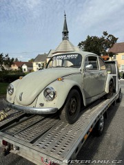 Volkswagen Brouk 1969