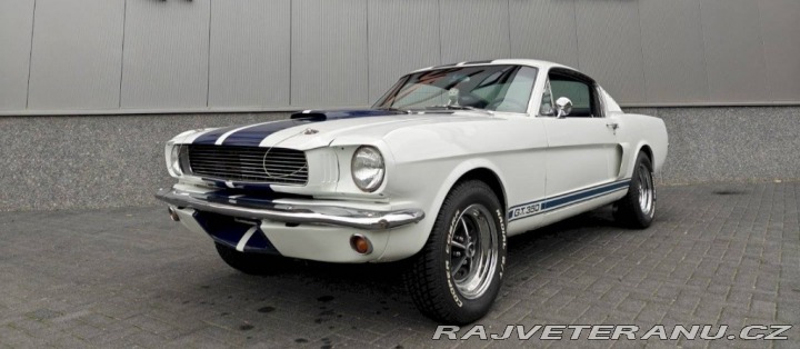 Ford Mustang Fastback GT350 clone 1966