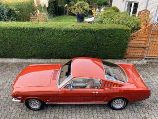 Ford Mustang Fastback GT 289 1966