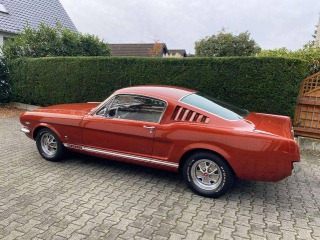 Ford Mustang Fastback GT 289 1966