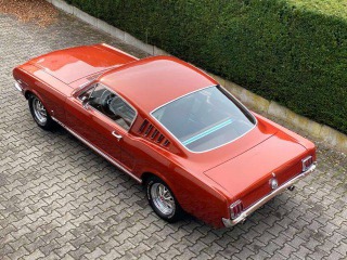 Ford Mustang Fastback GT 289 1966