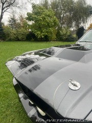 Ford Mustang  1967