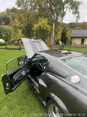 Ford Mustang  1967