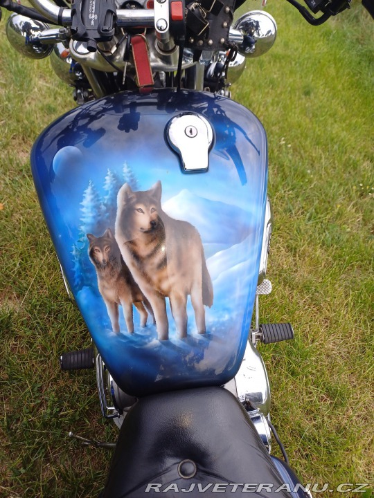 Yamaha Virago 1100 1995
