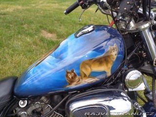 Yamaha Virago 1100 1995
