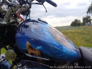 Yamaha Virago 1100 1995