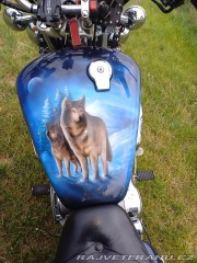 Yamaha Virago 1100 1995