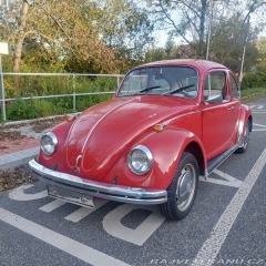 Volkswagen Brouk 