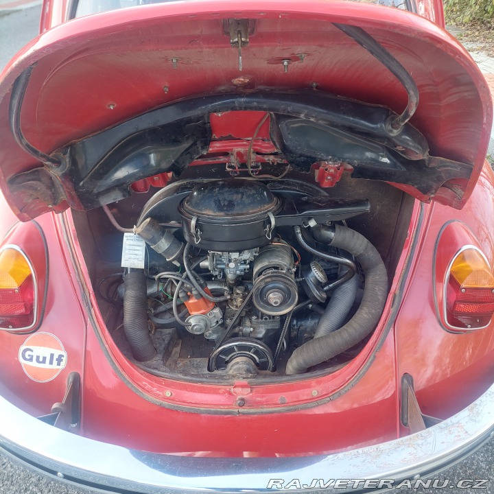 Volkswagen Brouk 1971