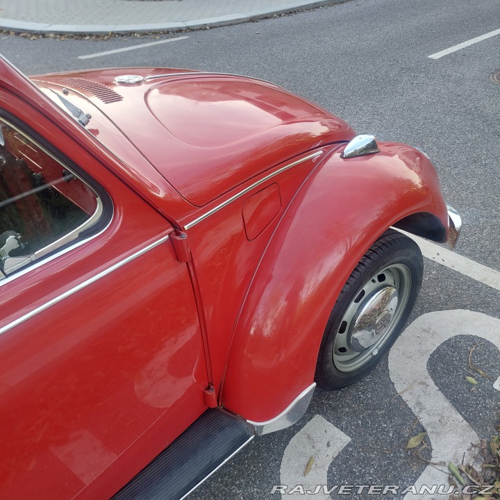 Volkswagen Brouk 1971