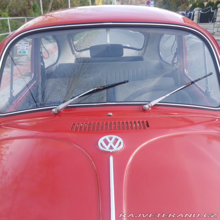 Volkswagen Brouk 1971