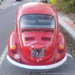 Volkswagen Brouk  1971