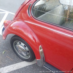 Volkswagen Brouk  1971