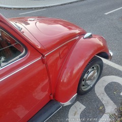 Volkswagen Brouk  1971