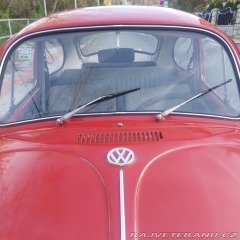 Volkswagen Brouk  1971
