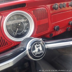 Volkswagen Brouk  1971