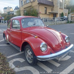 Volkswagen Brouk  1971
