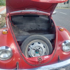 Volkswagen Brouk  1971