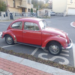 Volkswagen Brouk  1971