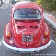 Volkswagen Brouk  1971