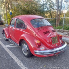 Volkswagen Brouk  1971