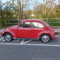 Volkswagen Brouk  1971