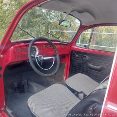 Volkswagen Brouk  1971