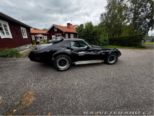 Chevrolet Corvette Stingray 5.7 V8 Hydra-Matic 1974