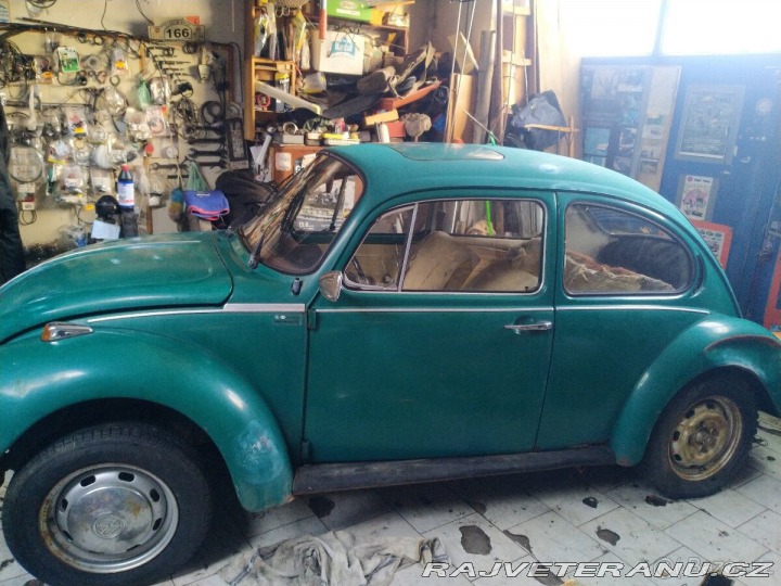 Volkswagen Brouk 1303 1974