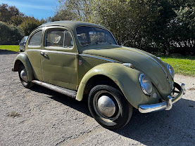 Volkswagen Brouk 