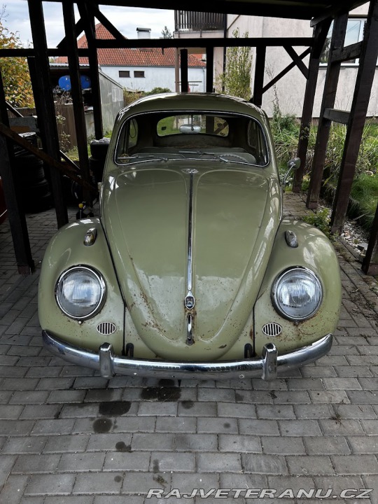 Volkswagen Brouk 1960