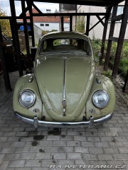 Volkswagen Brouk  1960